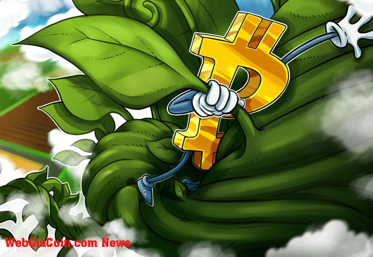 Bitcoin đạt 30 nghìn đô la đánh dấu mức giá cao nhất kể từ tháng 6 năm 2022