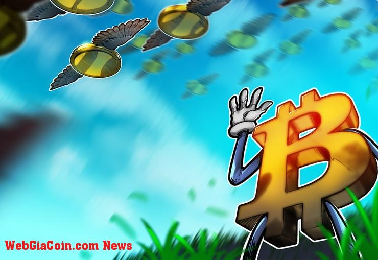 Bitcoin lấy lại 28 nghìn đô la và các biểu đồ cho thấy ARB, XRP, EOS và AAVE có thể theo sau