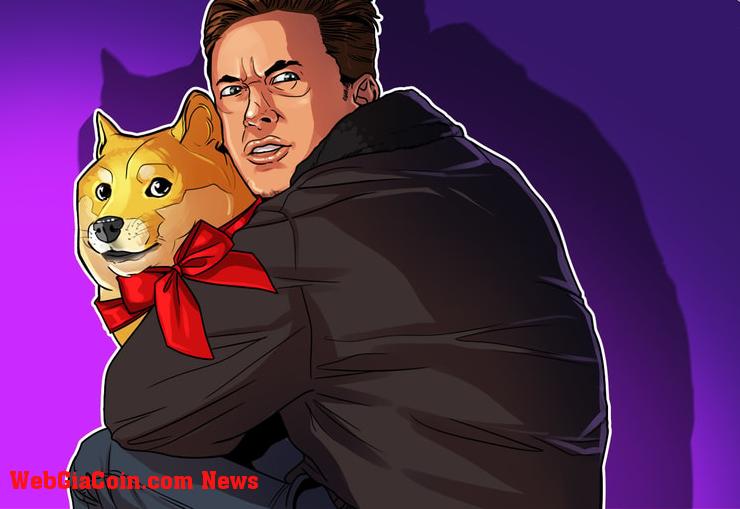 Các nhà đầu tư Dogecoin cáo buộc Elon Musk giao dịch nội gián trong vụ kiện tập thể sửa đổi