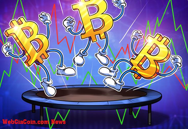 Giá BTC tập trung vào 26 nghìn đô la khi các nhà đầu tư Bitcoin chuẩn bị cho sự biến động của CPI