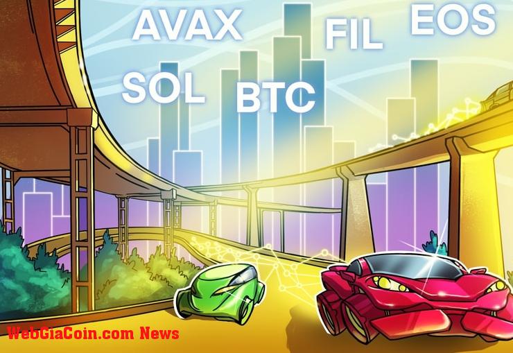 Giá bitcoin tập hợp sức mạnh khi SOL, AVAX, FIL và EOS chuẩn bị cho một đột phá