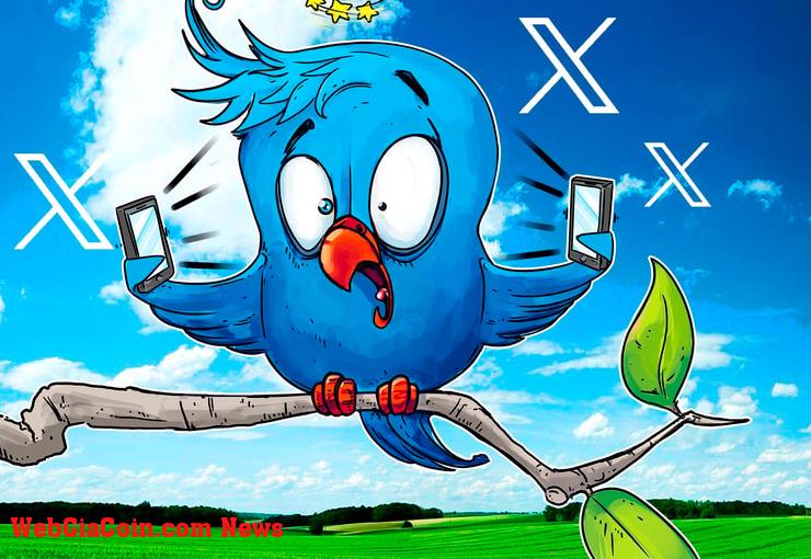 Twitter đặt giá thầu cho bluebird khi Elon Musk đổi thương hiệu nền tảng thành X