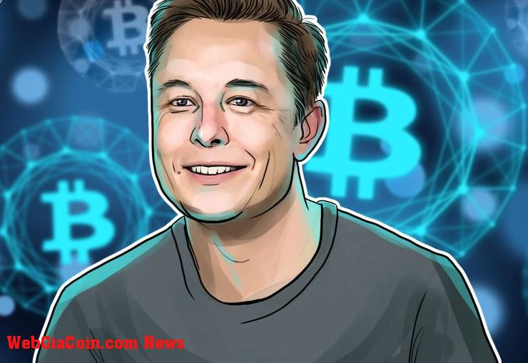 Việc viết ra Bitcoin của SpaceX gây ra sự nhầm lẫn, những người chơi bitcoin đánh đố Elon Musk