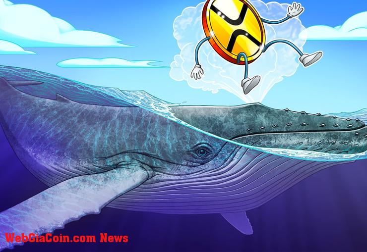 Cá voi XRP chuyển 29 triệu token sang Bitstamp trong bối cảnh giá giảm