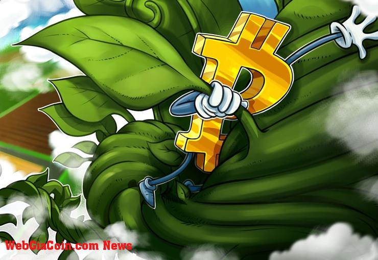 Bitcoin khởi động lại xu hướng tăng năm 2023 sau khi giá BTC tăng 26% trong tháng 10 – nghiên cứu